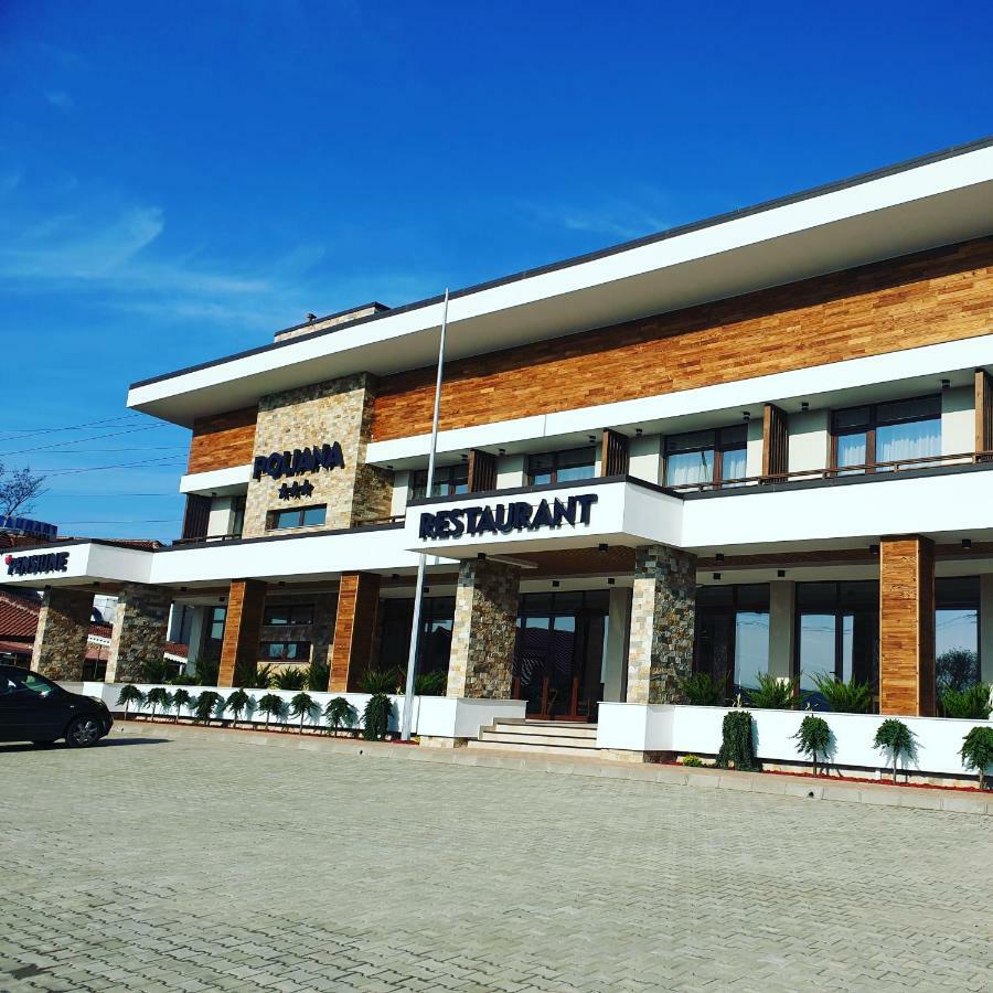 Pensiunea Poliana Hotel Costesti  Exterior photo